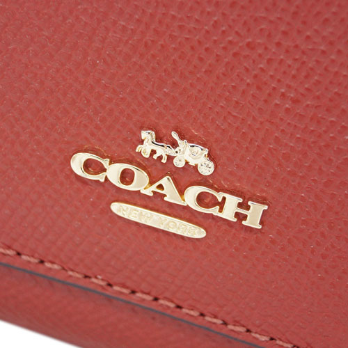 Coach Long Wallet Crossgrain Leather Accordion Zip Wallet Terracotta Brown # F54007