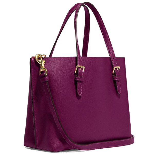 Coach Crossbody Bag Sling Mollie Tote 25 With Signature Canvas Interior Dark Magenta Brown # CF333