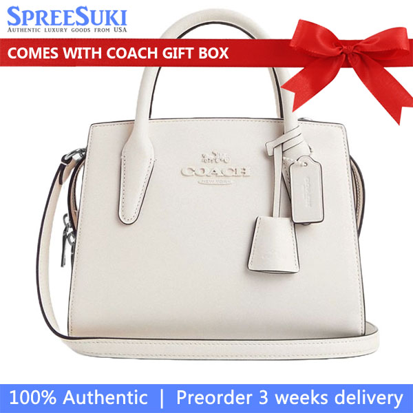 Coach Andrea Carryall Bag Silver Chalk # CP081