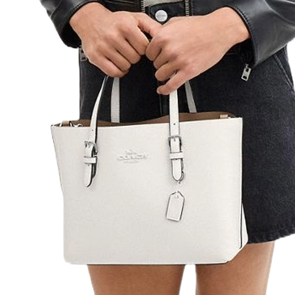 Coach Mollie Tote Bag 25 Silver Chalk # CV966