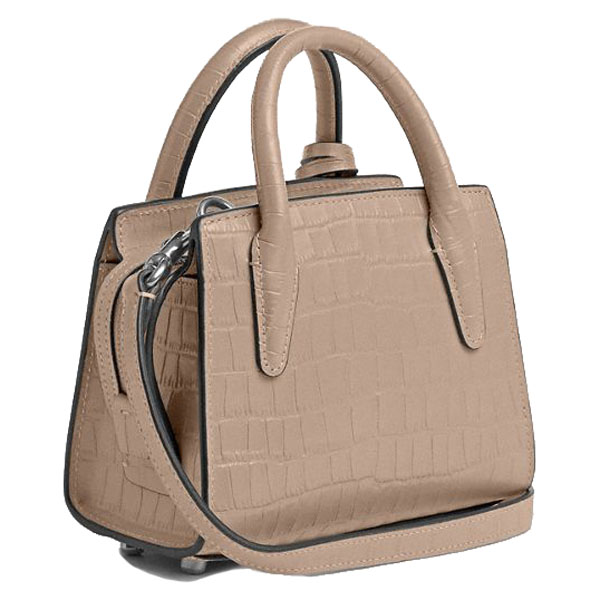 Coach Andrea Mini Carryall Bag Silver Stone # CR209