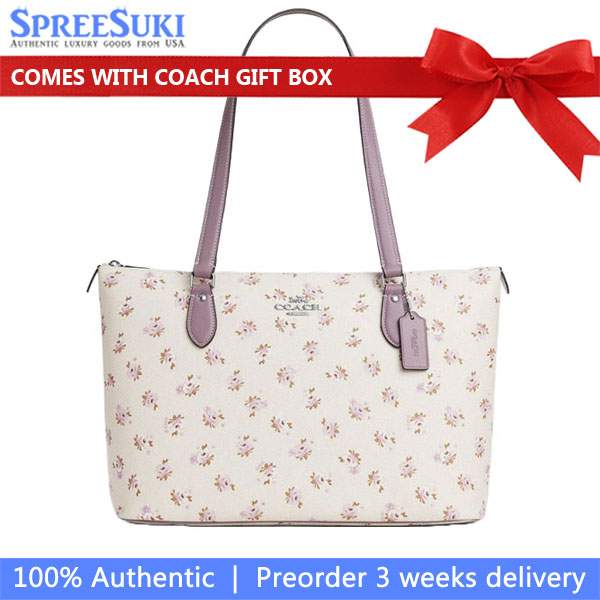 Coach Gallery Tote Bag In Signature Canvas Silver Chalk Multi # CAL59