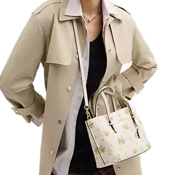 Coach Mollie Tote Bag 25 With Floral Print Chalk Multi # CAL44