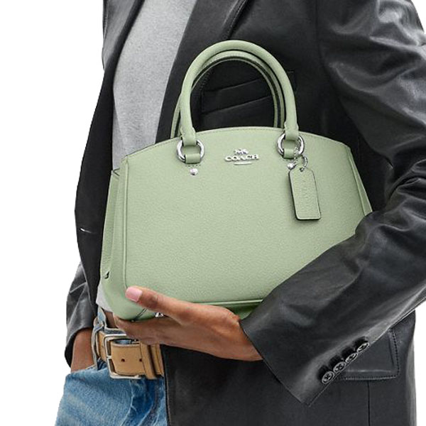 Coach Savannah Small Carryall Bag Silver Light Pistachio # CAL54
