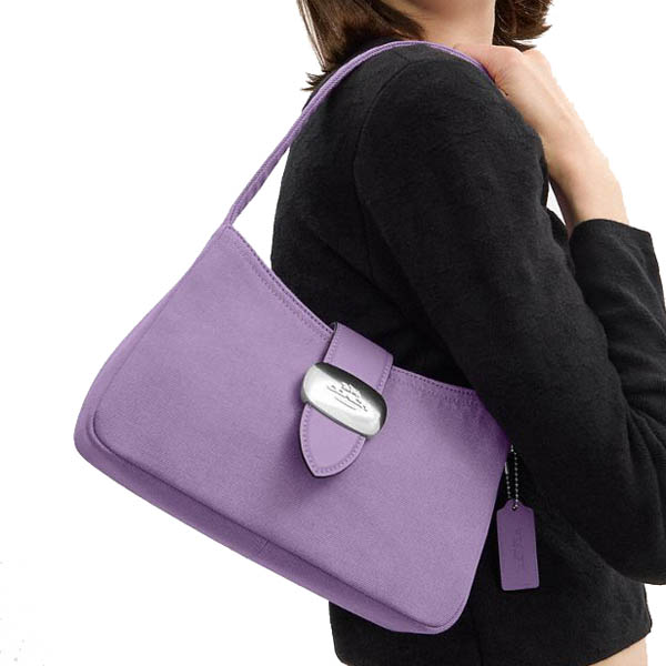 Coach Eliza Shoulder Bag Silver Iris # CBR14