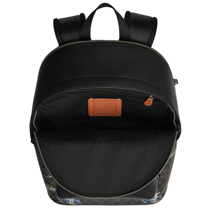 Coach West Backpack In Signature Canvas With Surf Print Gunmetal Charcoal Multi # CBI31