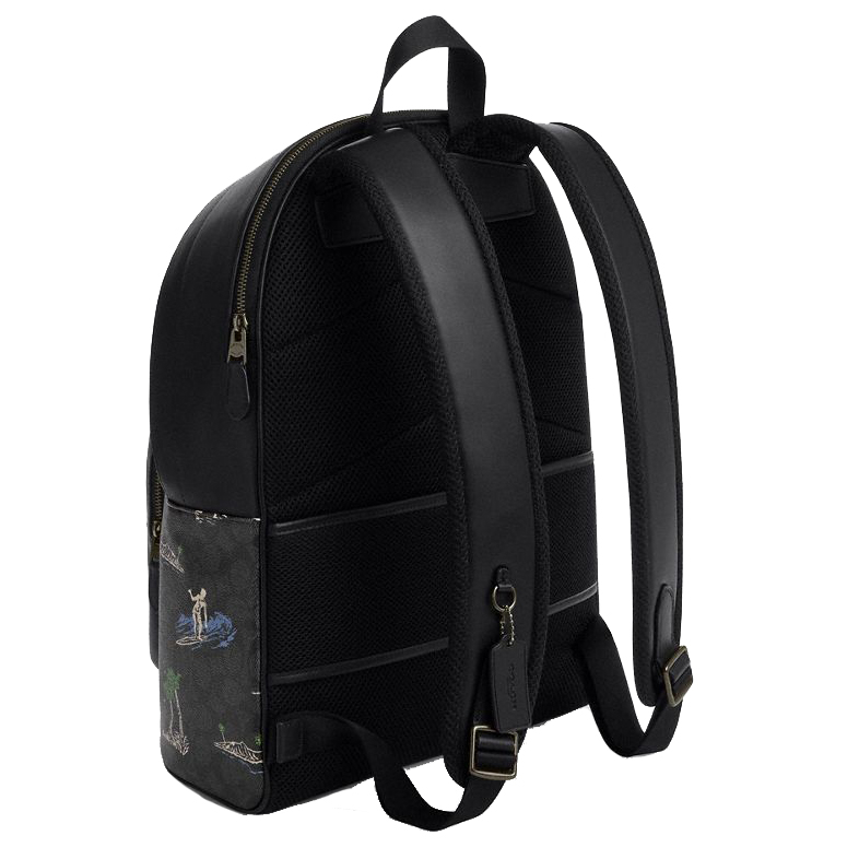 Coach West Backpack In Signature Canvas With Surf Print Gunmetal Charcoal Multi # CBI31