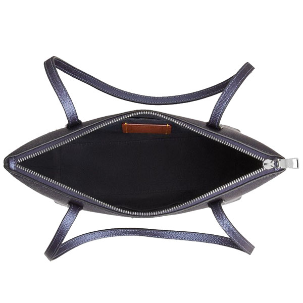 Coach Fiona Zip Tote Bag In Signature Canvas Silver Blue Navy # CW396