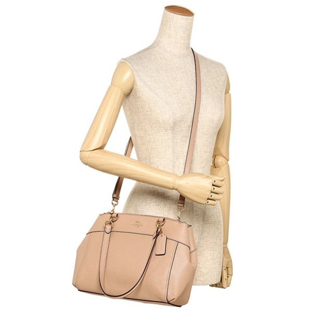 Coach Crossbody Bag With Gift Bag Mini Brooke Carryall Nude Pink # F31251